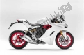 All original and replacement parts for your Ducati Supersport USA 937 2017.